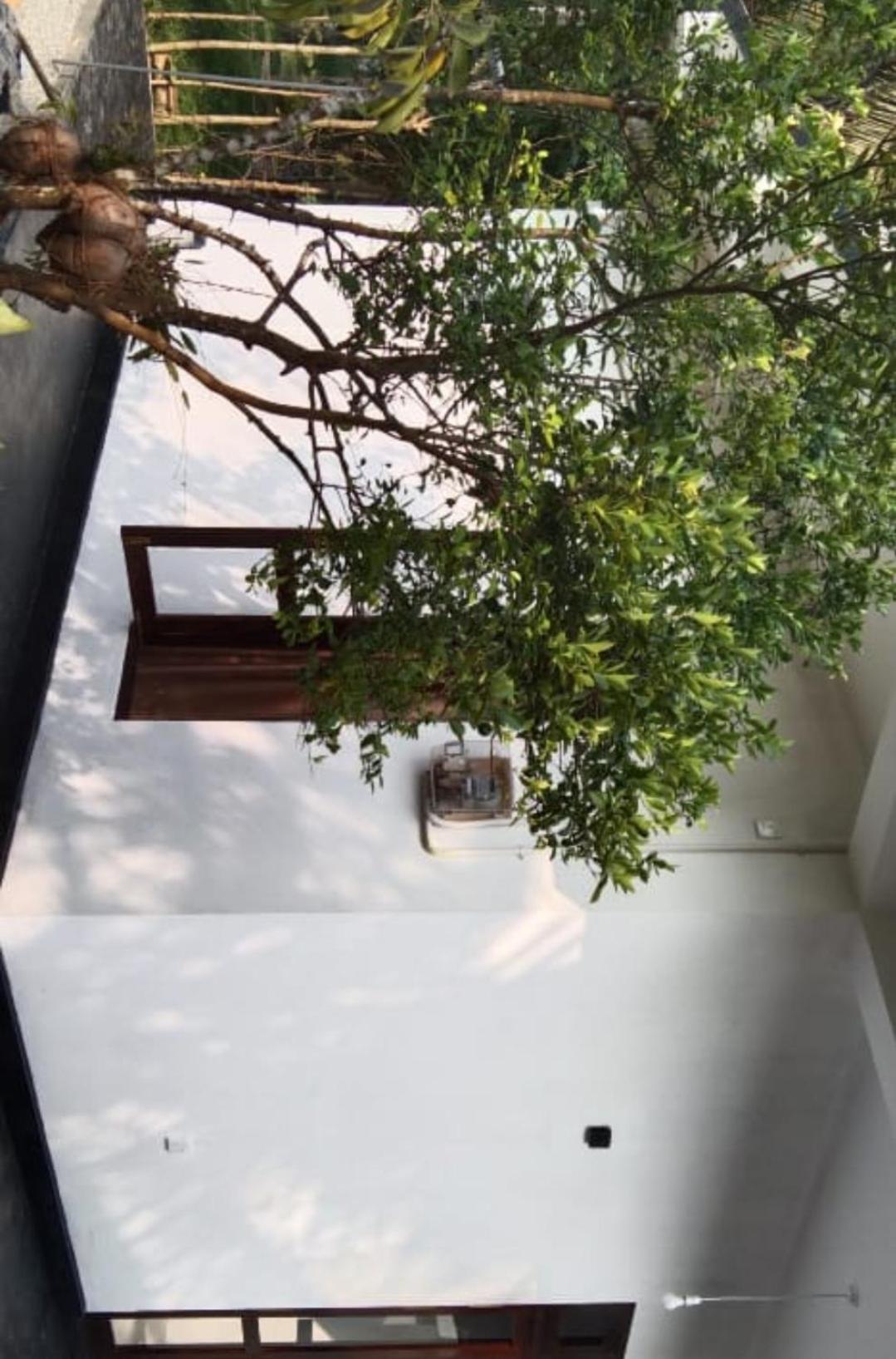 Villa Elegant - Weligama Extérieur photo